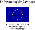 YDRE KOMMUN Översiktlig Planering 29