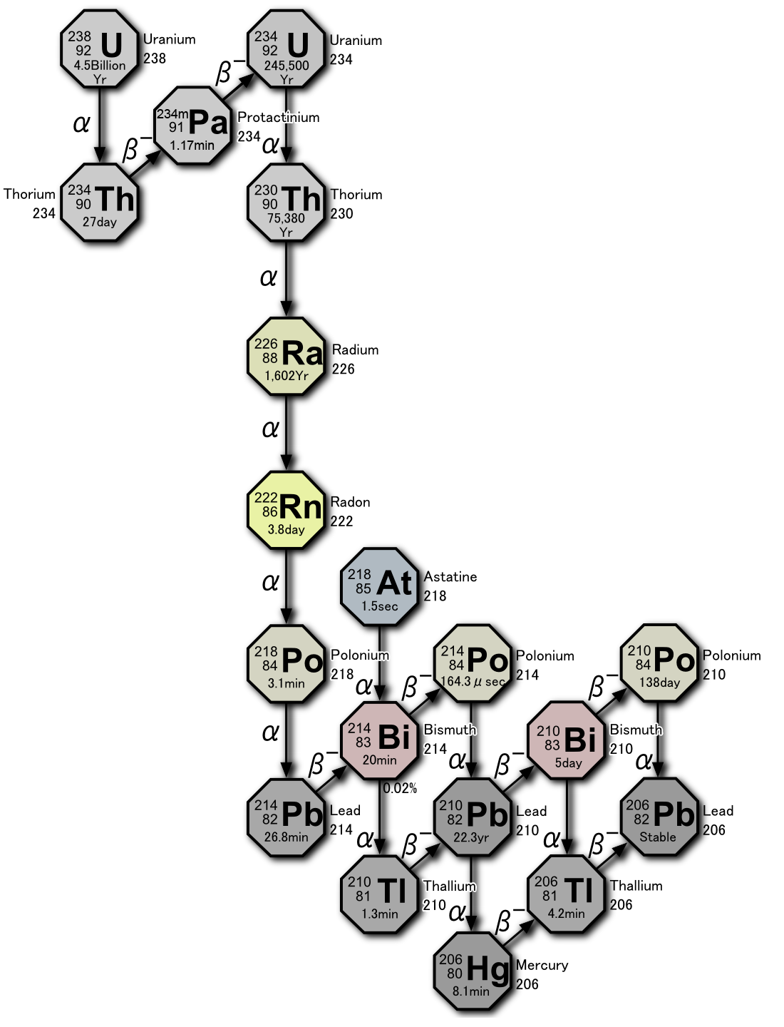 Radon-isotopen 222 Rn sönderfaller med α-strålning till en mycket kortlivad isotop av polonium och genom ett antal andra snabba steg vidare till bly. Halveringstiden för 222 Rn är 3,8 dygn.