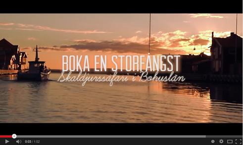 Film på YouTube och Facebook Filmen Boka en storfångst är 1,03 minuter lång. Den har visats totalt 77 688 gånger.