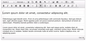 Formatera text Texterna anpassas efter den stilmall som finns tillgänglig för din webbplats.