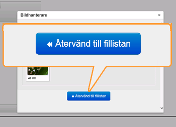 (Klicka för större bild) OBS! För dig som använder Internet Explorer 9 ser uppladdningsfunktionen lite annorlunda ut.