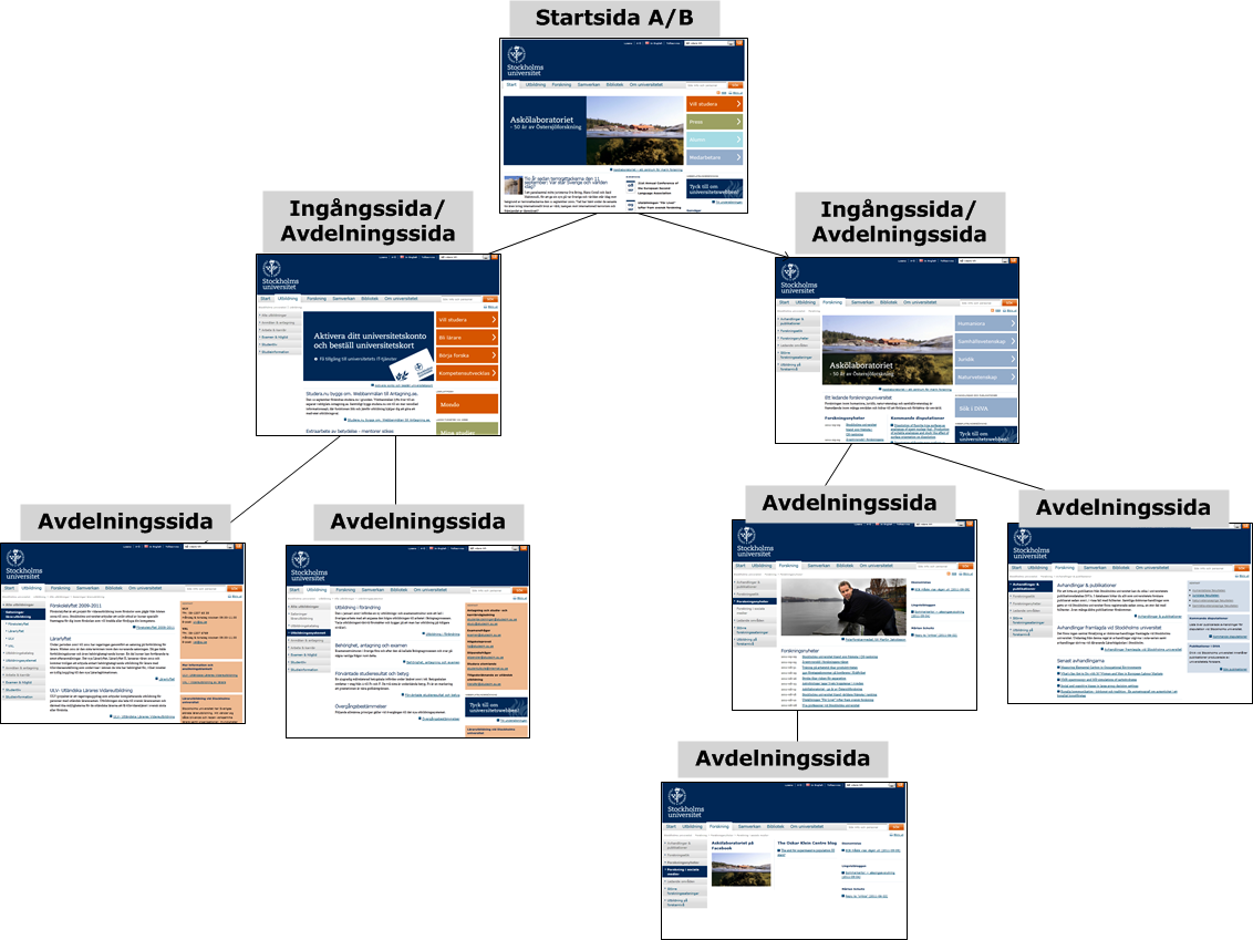 Sajtstruktur Figuren nedan visar hur en webbsajt på Stockholms universitet typiskt är strukturerad. Startsidan är den översta sidan i hierarkin.