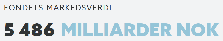 OLJEFONDEN, VAD ÄR DET?