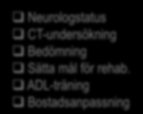 Bidrag till god informationsförsörjning Aktör Hälsofrågeställning Nationell informationsstruktur Kärnaktivitet Syfte (utreda/behandla) Ansvarig aktör Prioritet Upprättad (datum) Status Tillämpad