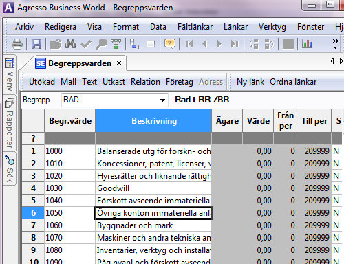 Relationsvärden Rad - RRad1: Registreringen av relationsvärdena sker i begreppsvärdetabellen (skärmbilden Begreppsvärden).