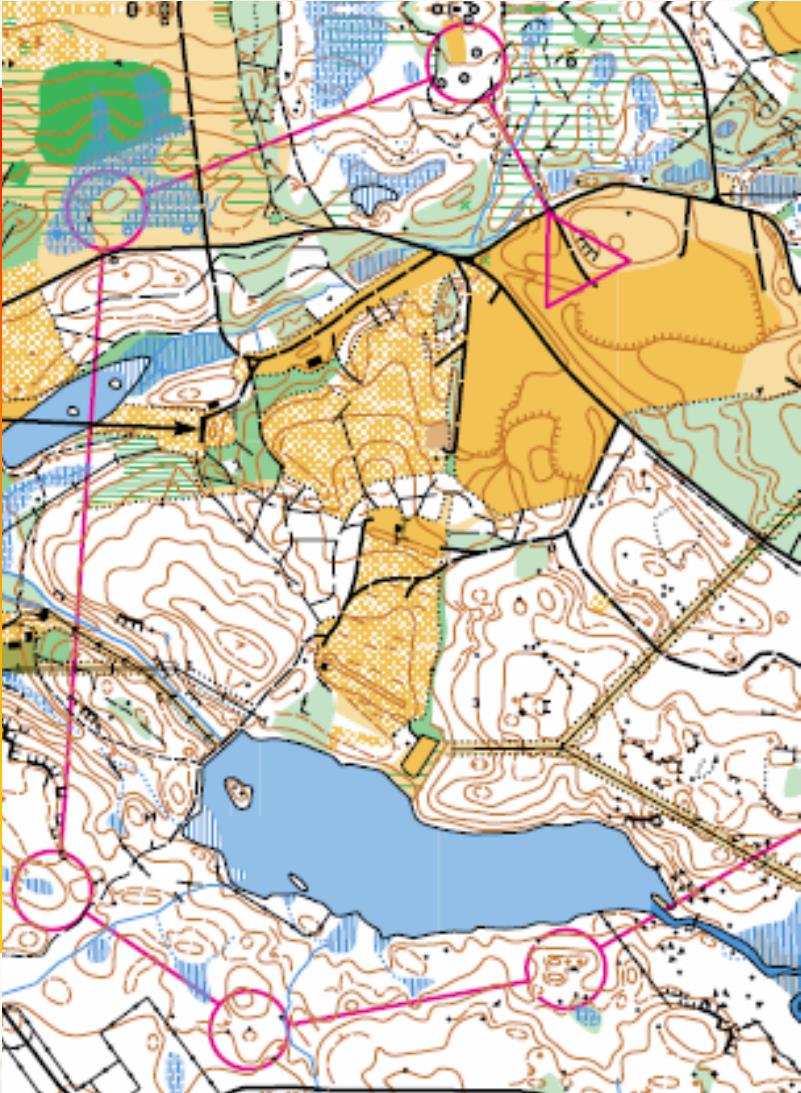 Orange nivå Orienteringsteknik Förstå höjdkurvor. Grovorientera.