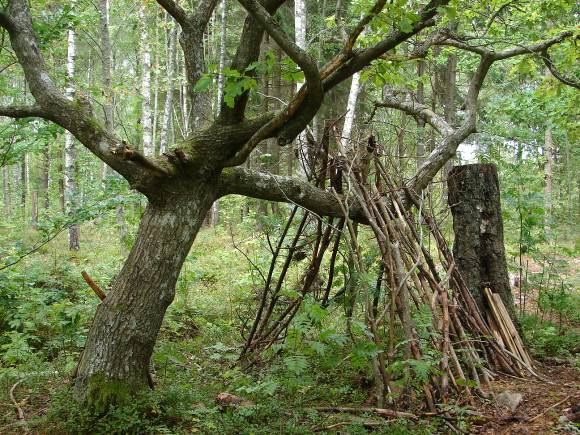 naturmark och ner mot sjön. Ängarna och omgivande park och naturytor är lätta att nå från hela Vikaholm. Hagarna och ängarna betas eller slås och kan växelvis öppnas upp för allmänheten.