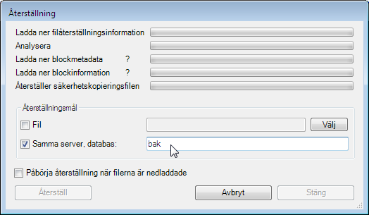 Förloppsindikatorerna visar hur långt nerladdningen av återställningsdatat fortskridit.