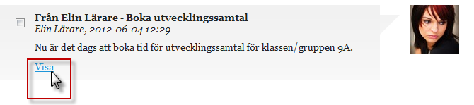 Sida 26/44 Bild 28 När du klickat på ett meddelande visas all konveration med den personen. Bild 29 Klicka på Visa för att se mer information. 8.