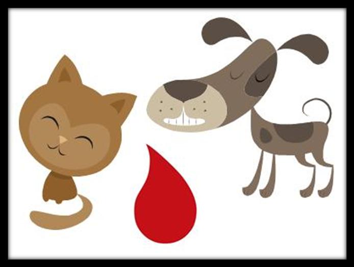 Blodbank för hund och kattdjursjukskötarens roll Blood bank for dog and cat- the role of the veterinary nurse Ulrika Hansén Djursjukvårdarprogrammet Sveriges lantbruksuniversitet Skara 2010