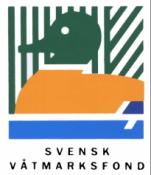 SELLIN OCH TORSTENSSON VATTENRENING I VÅTMARKER HT 2011 VT 2012 Blackebergs Gymnasium Våtmarker är naturens reningsverk.