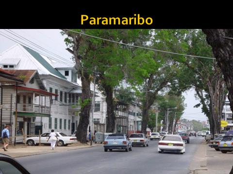 Program dag för dag Dag 1, 7 nov: Flyg till Paramaribo via Amsterdam. Morgonflyg med KLM till Surinams huvudstad Paramaribo där vi landar sen eftermiddag.