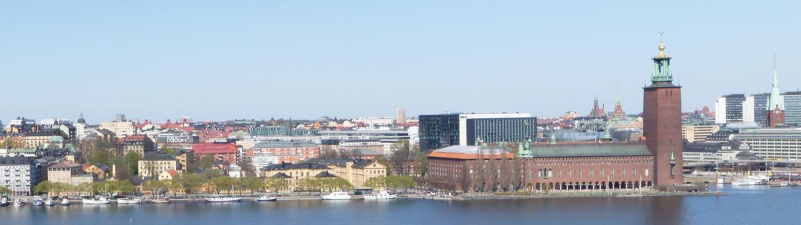 Årsredovisning 2012 Mag- och tarmföreningen i Stockholms län 3.