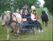 RID i GETMOSSEN Erbjuder Natur och kultur turism i sagolik miljö. Turridning, Häst o vagn, Nybörjare och erfarna ALLA ÄR VÄLKOMNA!