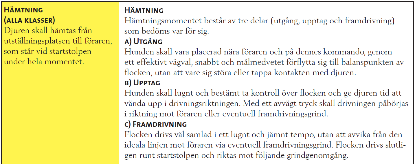 ordning medför diskvalificering. Reglerna (vänstra spalten), definierar uppgiften (momentet) samt föreskriver ekipagets agerande. Reglerna skall följas, annars diskvalificeras ekipaget.