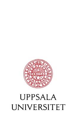 Uppdrag till Uppsala universitet Uppdrag att utarbeta och genomföra ett övergripande program för kompetensutvecklingsinsatser