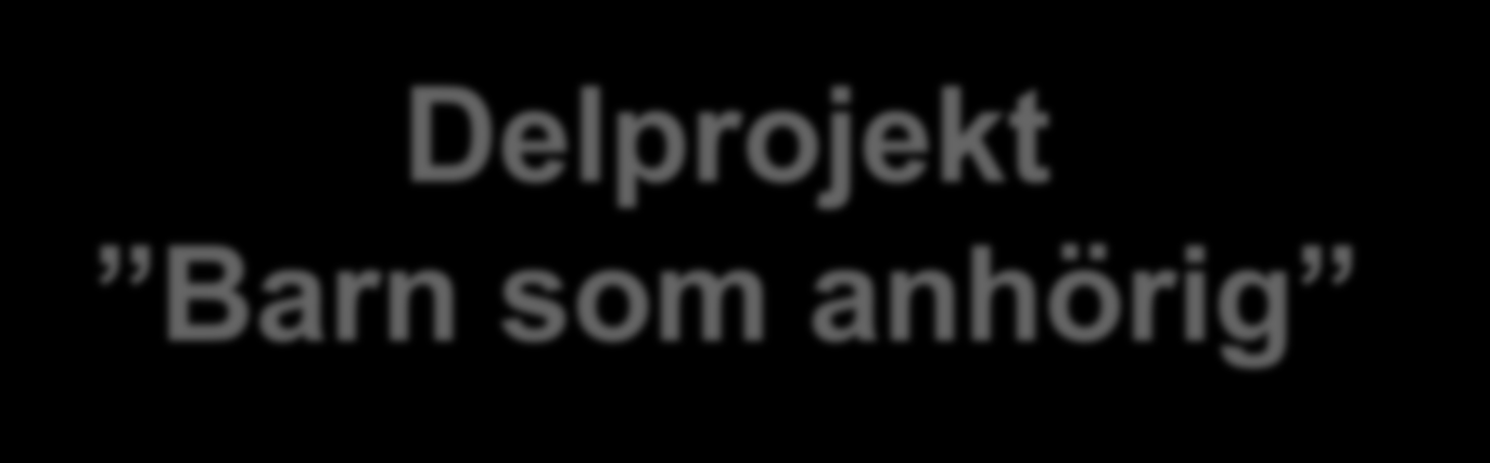 Delprojekt