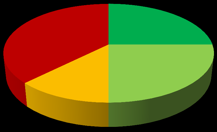 Din kommuns tillgänglighet 2013 38% 13% 12% 37%