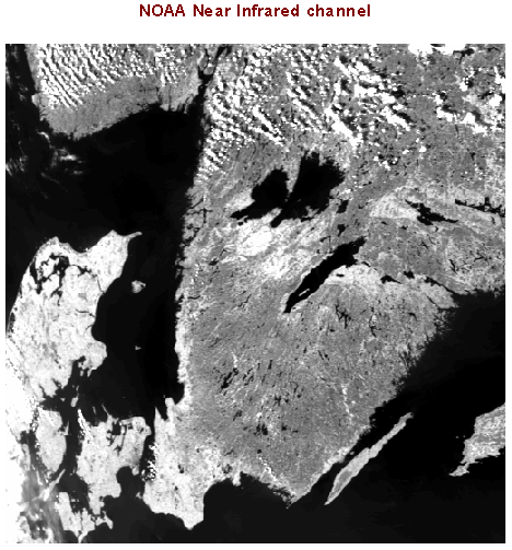 NOAA AVHRR 8-km 8 NDVI Data