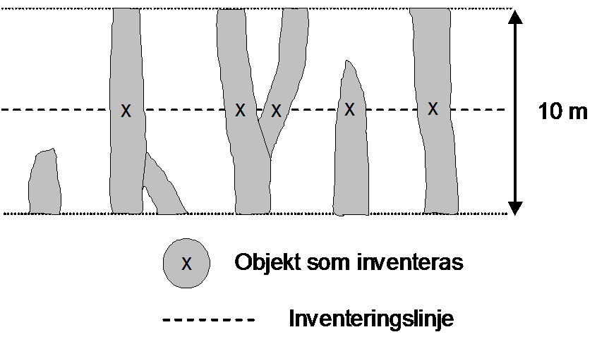 6.1 Transportled 6. LINJEOBJEKT OCH SKOGSHÖNS 6.1. TRANSPORTLED Mål Transportleder är först och främst tecken på yttre påverkan.