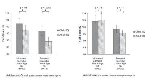 Kronisk cannabisrökning från ungdom till vuxenliv orsakar sänkning av IQ med upp till 8 p.