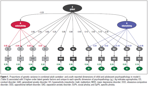 Specifiers Specifiers dimensionella och kategoriska tillägg i syfte att individualisera diagnosen. Dimensionell specifier för svårighetsgrad i de flesta diagnoser: Mild, Moderate, Severe.