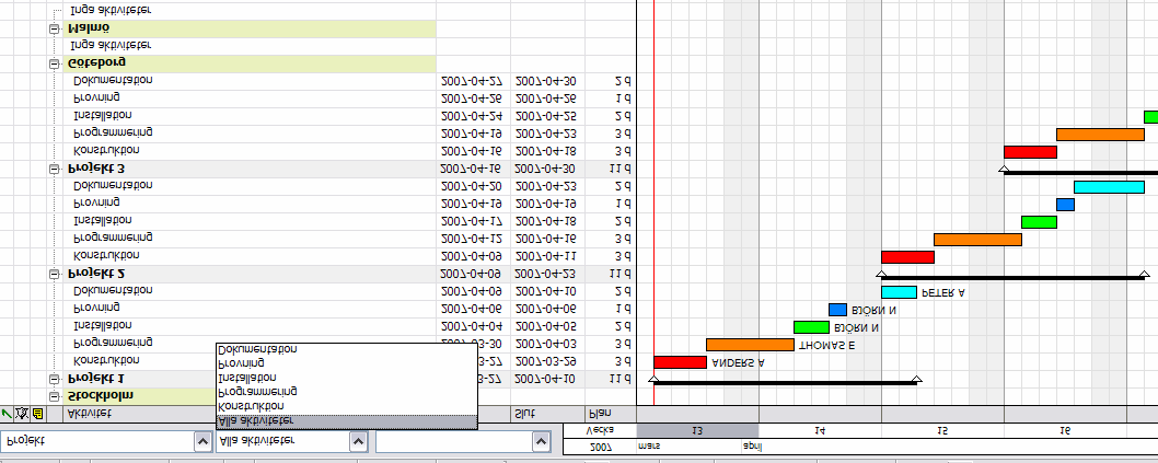 Resultatet efter 3 projekt kan se ut så här. I det första projektet har resurser tilldelats. En översikt över alla projekt får man genom att klicka på gruppen Projekt i schemabilden.