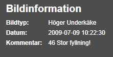 En allmän anteckning visas så som den ser ut när patientundersökningen öppnas i undersökningsfönstret. Den allmänna anteckningen visas också i dialogrutan Visa alla kommentarer.