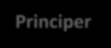 WCAG 2.0, Principer http://www.w3.org/tr/wcag/ WCAG 2.