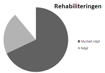 Patientens upplevelse av rehabiliteringsperioden (andel nöjda och mycket nöjda) Samarbete med personalen Mycket nöjd 83 % Nöjd 8 % Summa: 91 % Eget inflytande över rehabiliteringen inklusive