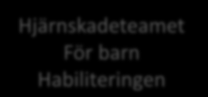 Vårdkedja för barn med förvärvad hjärnskada 0-18 år Neurorehabiliteringen Astrid Lindgrens Barnsjukhus Medicinsk uppföljning sker på ALB vid stadiebyten Medicinskt lindriga skador Medicinskt svåra