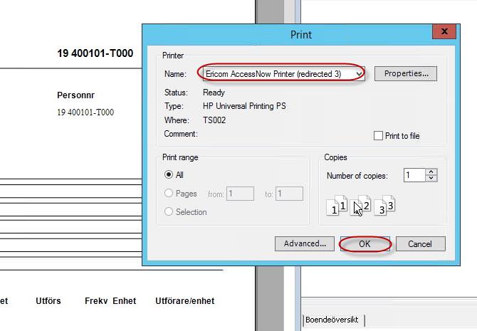 Välj skrivare Ericom AccessNow Printer och klicka på OK Klicka på Wiew