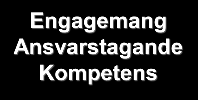 LULEÅ KOMMUN RAPPORT Version 4 Bakgrund Medarbetarenkäten är en aktivitet för att få en uppfattning om hur medarbetarna värderar sina arbetsförhållanden samt för få ett underlag för kommande