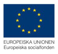 .. 4 Kurser/utbildningar för anställda... 5 Kurser/utbildningar för ideella... 5 Hur går vi vidare?... 6 Deltagare.