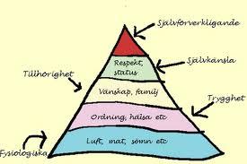 Värderingarna finns i våra grundläggande behov (trygghet, gemenskap, mat etc.