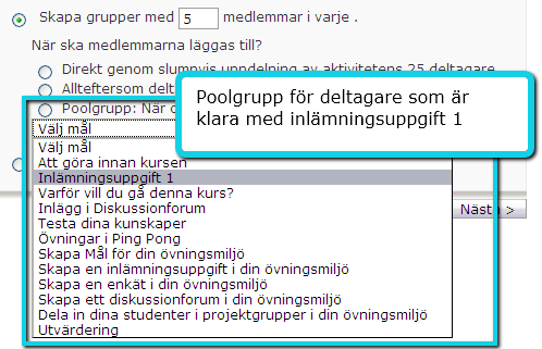 3. Denna gång får du andra val: Precis som tidigare kan du låta systemet hjälpa dig att göra slumpvis uppdelning av aktivitetens deltagare.