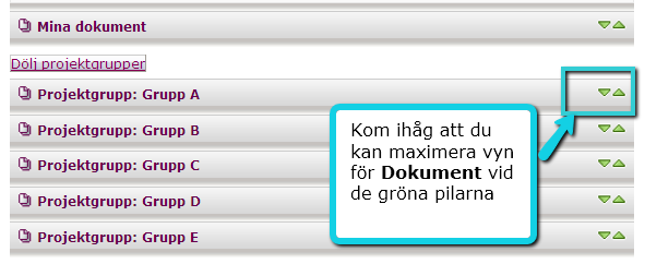 Projektgruppens Dokument Klicka på länken Visa projektgrupper för att se namnen på de projektgrupper du är medlem i.