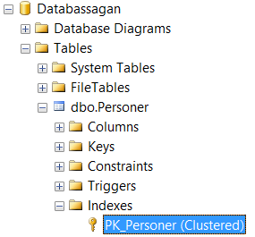 Mata in följande data i fönstret Name Type Allow Null ID int (blank) Namn varchar(50) (blank) Det kommer att se ut ungefär såhär Kolumnen ID kommer att fungera som identifierare av raden (därav