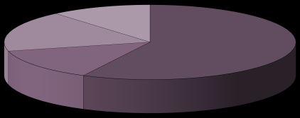 Nettoskuld, SEKm Nettoskuld/EK EBIT, SEKm EBIT marginal, (%) EBIT, SEKm EBIT marginal, (%) Probi Försäljning per segment Probi Försäljning per marknad Övriga världen; 11% Functional Food; 4%