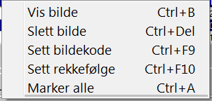 Primus Vägledning för massimport av bilder 8 Det är möjligt att gå in i tabellen och ändra värden för ordningsföljd och bildkod.