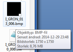 RIK-filer till Disgen 8.2 7 Egenskaperna för bilderna i högerkant med kolumnindexet _006 alla har här bredden 1750 punkter.