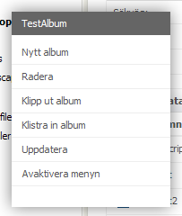 4.2.2. Högerklicksmenyn Genom att högerklicka på ett album blir alla kommandon för att skapa och ta bort album tillgängliga. Nytt Album Skapar ett nytt album. Radera Tar bort det markerade albumet.