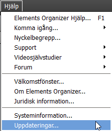1 Arbetsytan I mitten ovanför filvisningsytan ser du fyra alternativ, Media, Folk, Platser och Händelser. Dem använder du för att välja vy, det vill säga hur du vill att filerna ska visas.