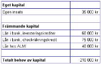 Finansiering Finns pengar i föreningens kassa? Lånefinansiering hur är soliditeten? Ska medlemmarnas insatser höjas?