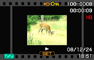 Visning av stillbilder och filmer Visning av stillbilder Vi hänvisar till sidan 19 angående tillvägagångssätt för visning av stillbilder. Visning av en film 1.