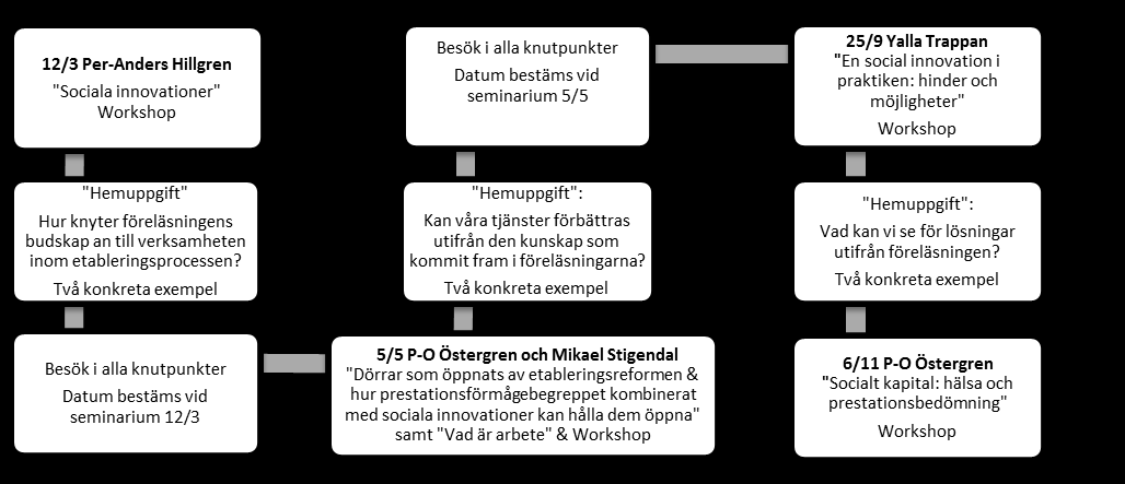Seminarieserien kommer att vid varje enskilt tillfälle bestå av tre olika former för gemensam kompetensutveckling: Förmiddagarna kommer vid varje tillfälle att vara ett riktat informations- och