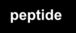 Resultat LADA-studie - 2 In the control group insulin treatment was initiated due to clinical necessity in 7/18 (39 %) of the patients during the 3 years of follow-up.