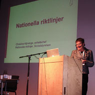 Arbetsprocess,forts Regionala seminarier Slutbearbetning Slutlig version i form av Beslutsstöd med