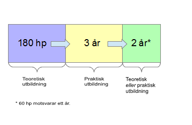 Revisorsauktorisation Auktoriserad revisor = en teoretisk + praktisk utbildning om totalt 8 år. Därefter avlägs ett prov.