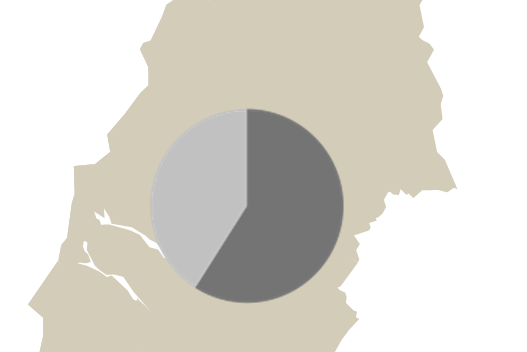 Sveriges skogar 60 % av Sveriges yta täcks av skog Skogen är vår viktigaste naturliga råvara